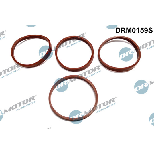 DRM0159S - Gasket Set, intake manifold 