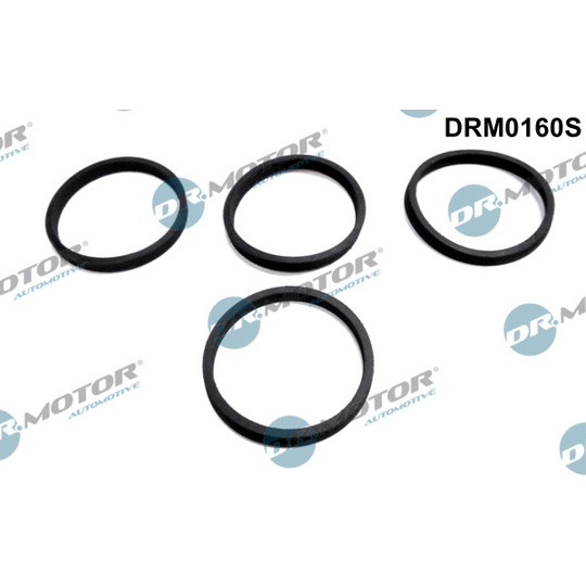 DRM0160S - Gasket Set, intake manifold 