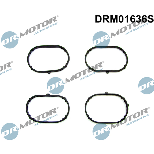 DRM01636S - Gasket Set, intake manifold 