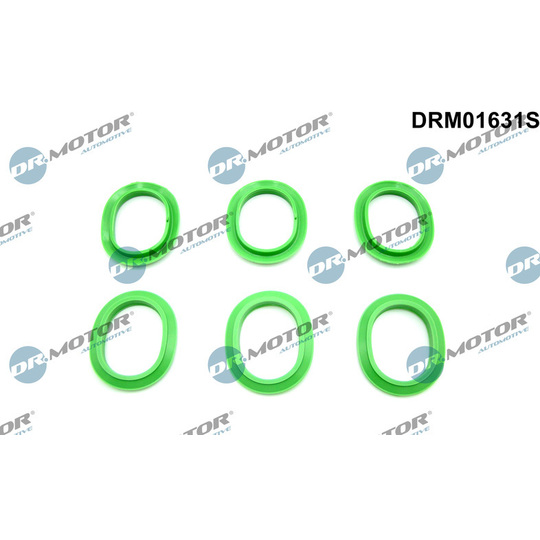 DRM01631S - Tiivistesarja, imusarja 