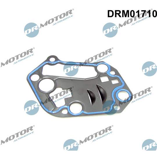 DRM01710 - Seal, oil filter housing 