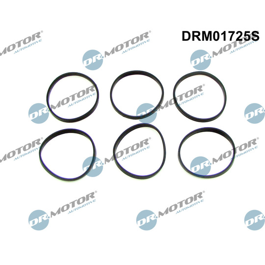 DRM01725S - Tiivistesarja, imusarja 