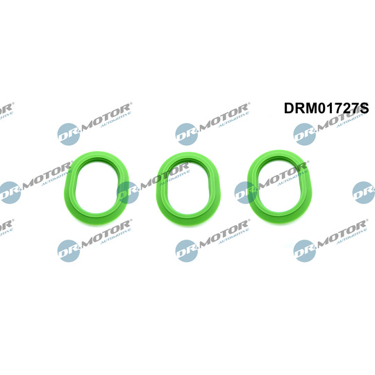 DRM01727S - Packningssats, insugsgrenrör 