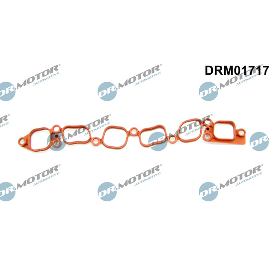 DRM01717 - Gasket, intake manifold 