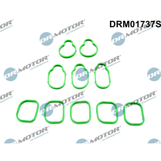 DRM01737S - Gasket Set, intake manifold 
