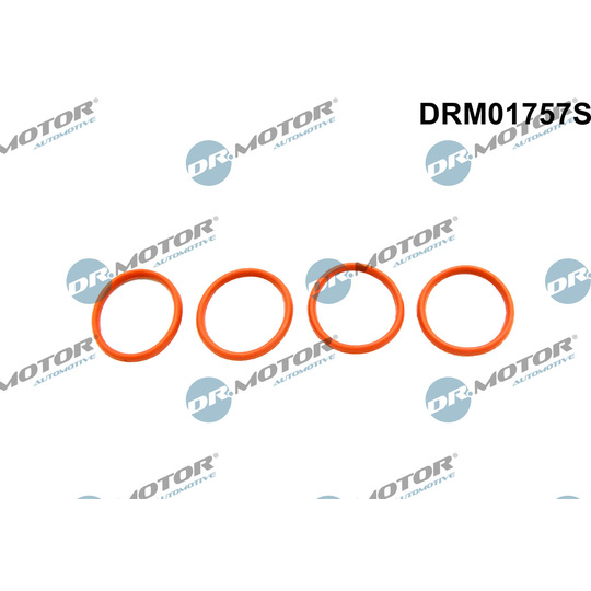 DRM01757S - Gasket Set, intake manifold 