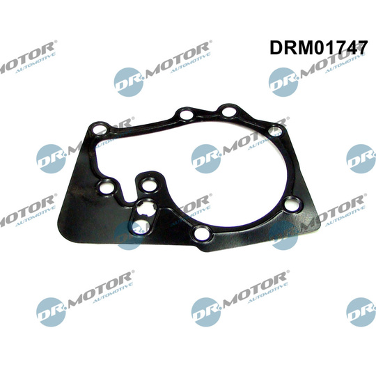 DRM01747 - Gasket, water pump 