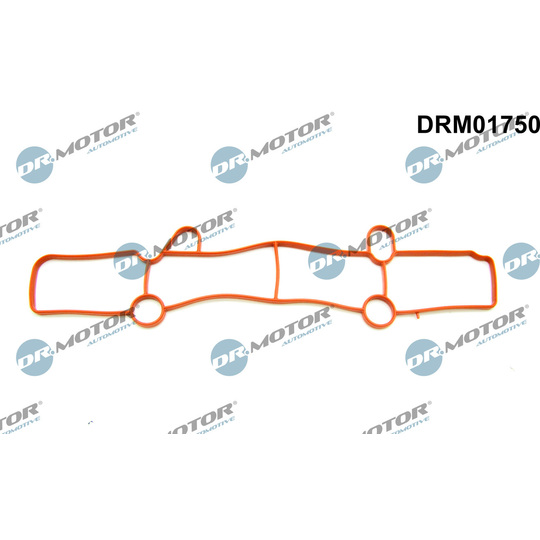 DRM01750 - Gasket, intake manifold 