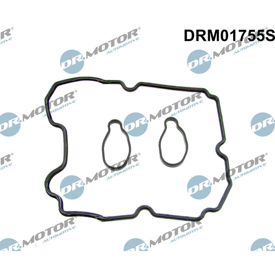 DRM01755S - Gasket Set, cylinder head cover 