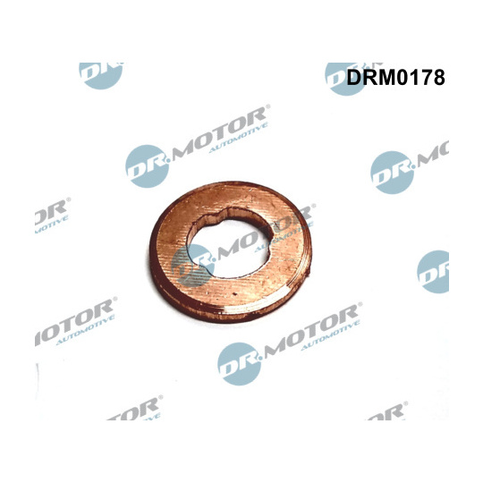 DRM0178 - Seal Ring, injector 