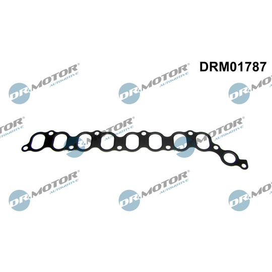 DRM01787 - Gasket, intake manifold 