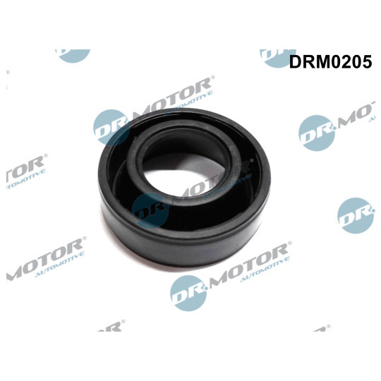 DRM0205 - Seal, injector holder 