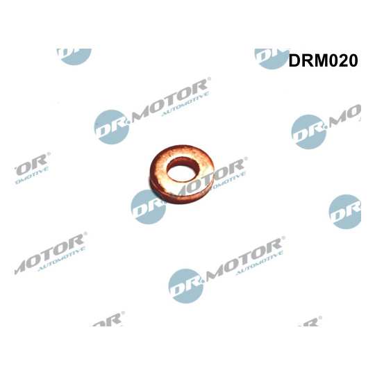 DRM020 - Seal Ring, injector 
