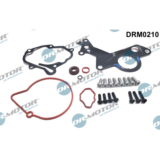DRM0210 - Repair Set, vacuum pump (braking system) 