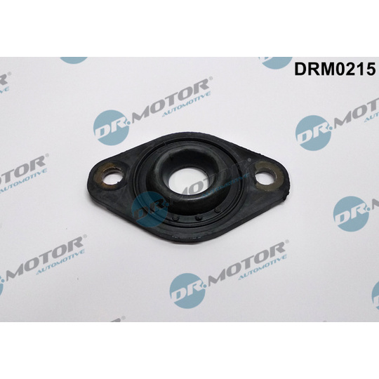 DRM0215 - Seal, injector holder 
