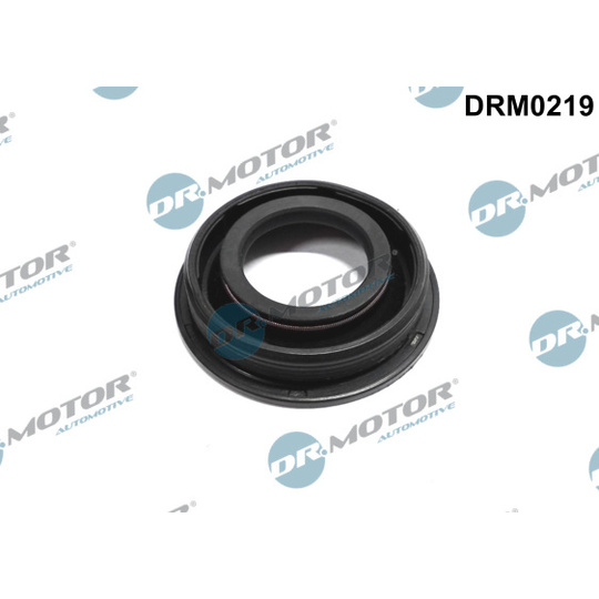 DRM0219 - Seal, injector holder 