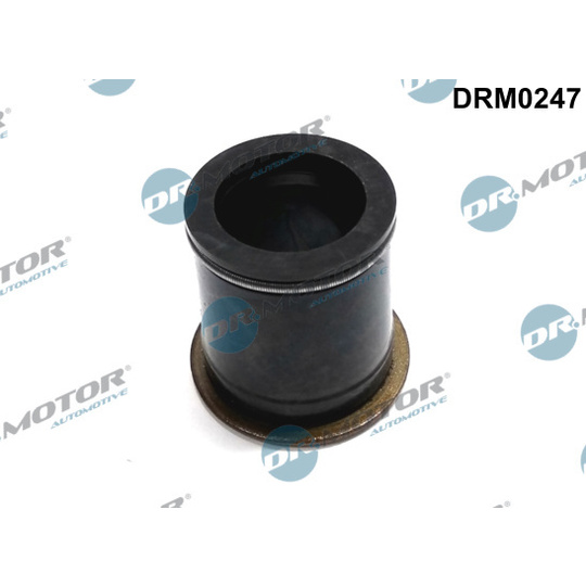 DRM0247 - Seal, injector holder 