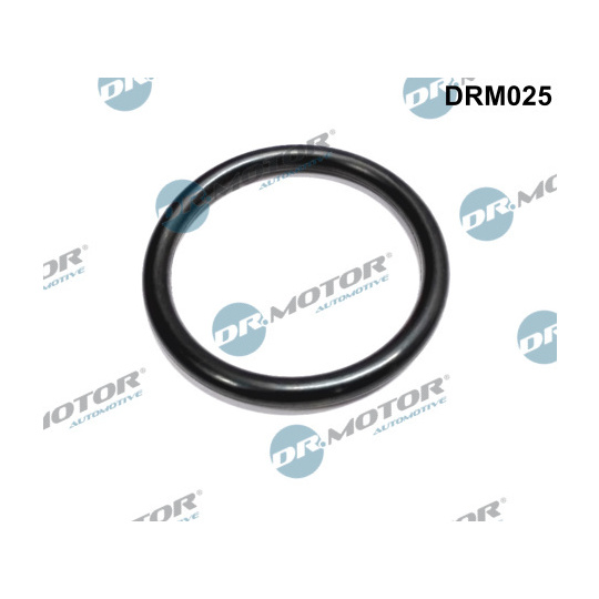 DRM025 - Seal, throttle body 