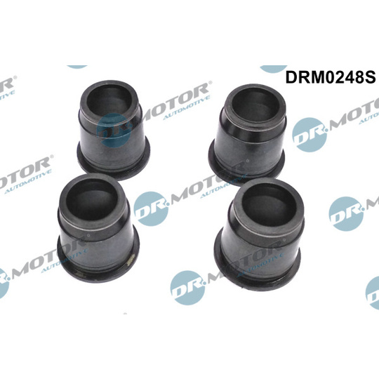 DRM0248S - Seal, injector holder 