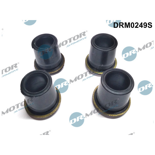 DRM0249S - Seal, injector holder 