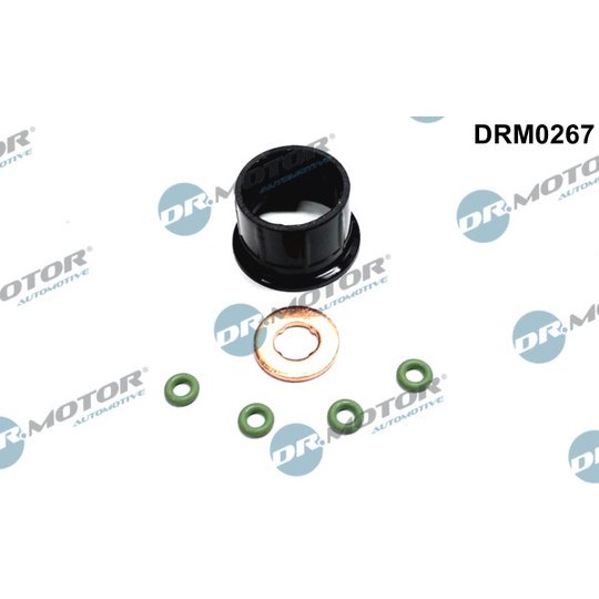 DRM0267 - Seal Kit, injector nozzle 