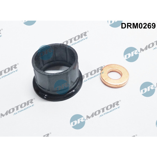 DRM0269 - Seal Kit, injector nozzle 