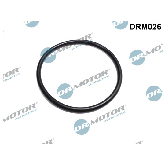 DRM026 - Seal, throttle body 