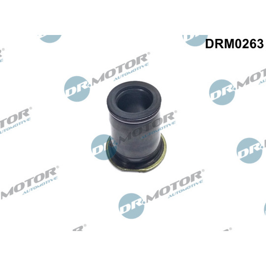 DRM0263 - Seal, injector holder 