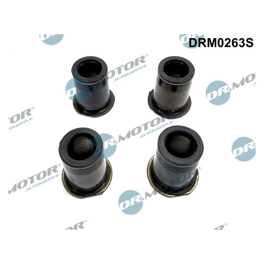 DRM0263S - Seal Kit, injector nozzle 