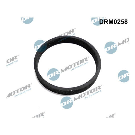 DRM0258 - Seal, turbine inlet (charger) 