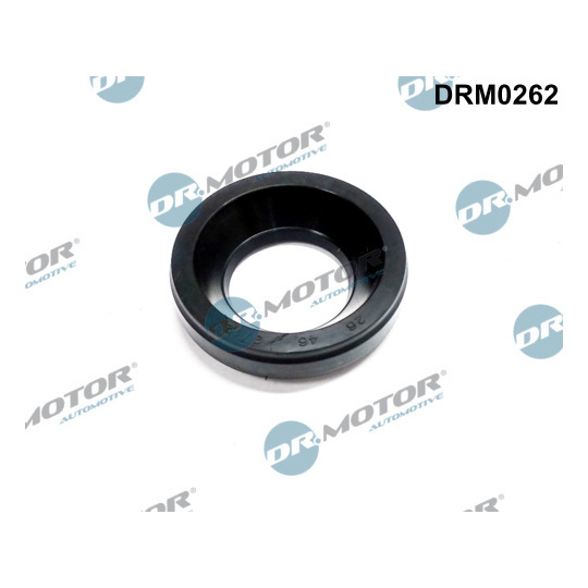 DRM0262 - Seal, injector holder 