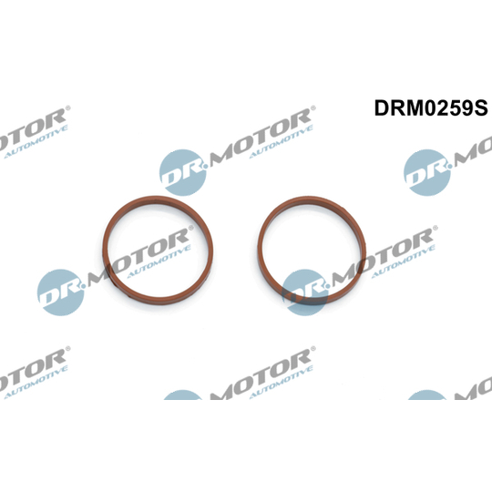DRM0259S - Gasket Set, intake manifold 