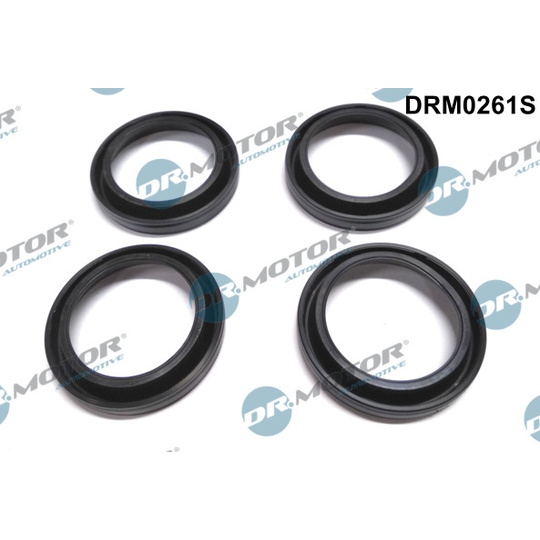 DRM0261S - Seal, injector holder 