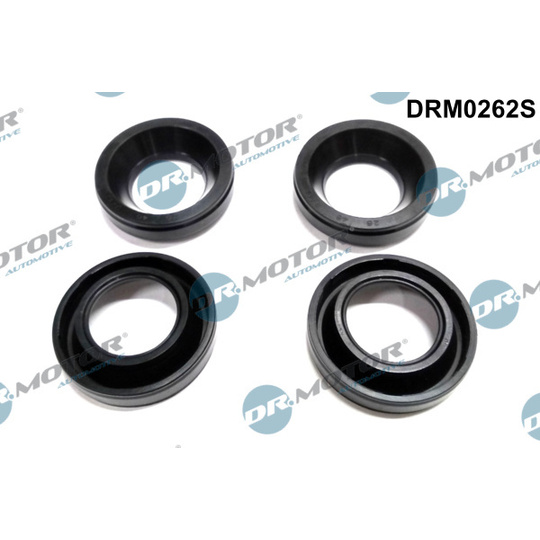 DRM0262S - Seal, injector holder 