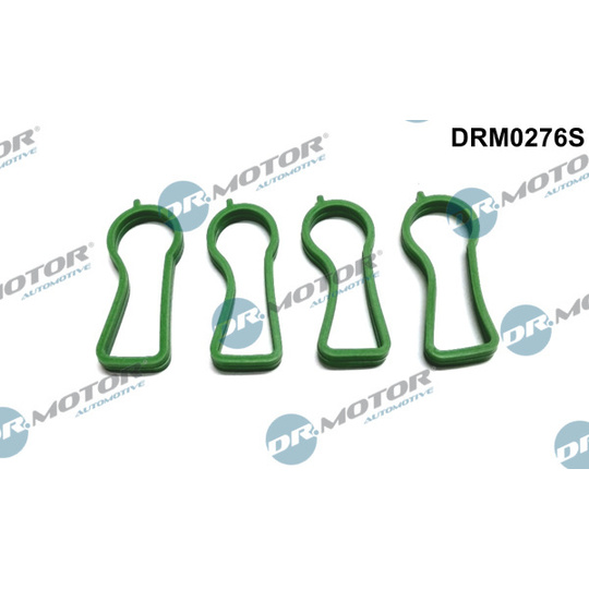 DRM0276S - Gasket Set, intake manifold 