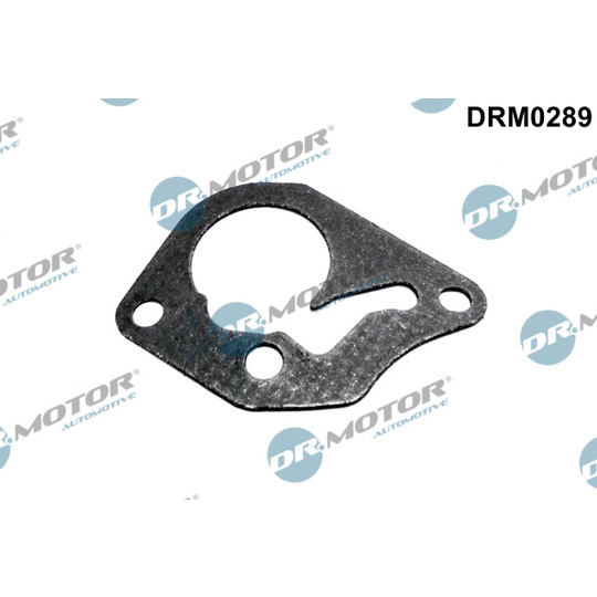 DRM0289 - Gasket, vacuum pump 