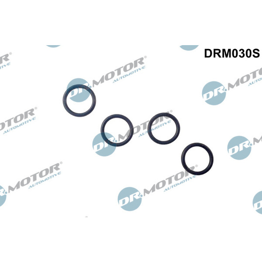 DRM030S - Seal Ring, nozzle holder 