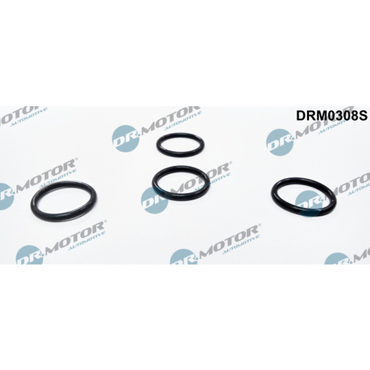 DRM0308S - Seal Ring, nozzle holder 