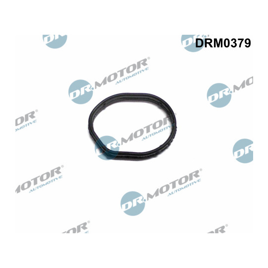 DRM0379 - Gasket, timing case cover 