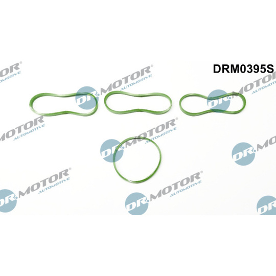 DRM0395S - Gasket Set, intake manifold 