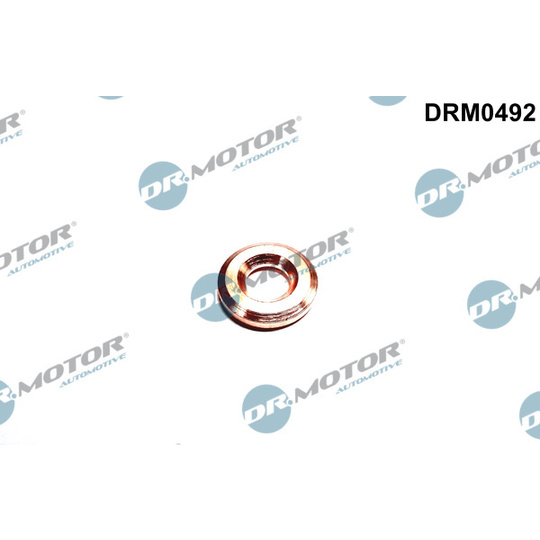 DRM0492 - Seal Ring, injector 