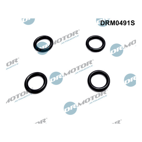 DRM0491S - Seal Ring, nozzle holder 