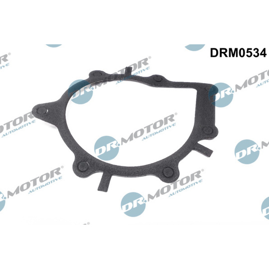 DRM0534 - Gasket, water pump 