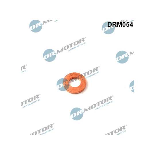 DRM054 - Seal Ring, injector 