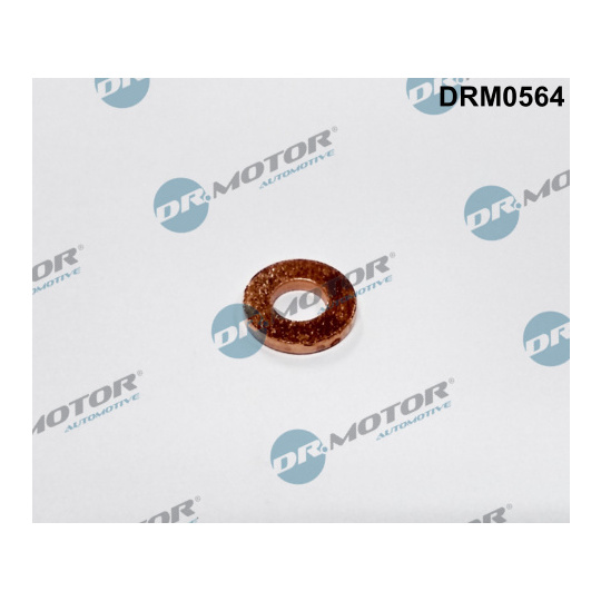 DRM0564 - Seal Ring, injector 