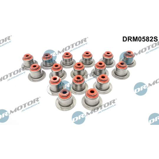 DRM0582S - Packningssats, ventiler 