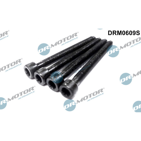 DRM0609S - Adjustment Screw, injector pump 