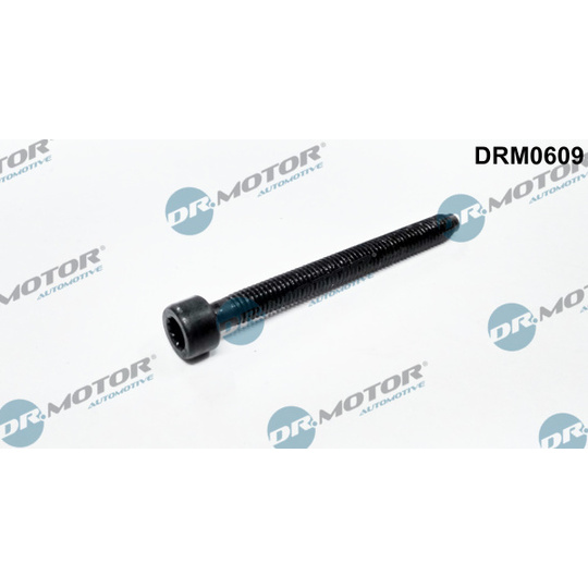 DRM0609 - Screw, injection nozzle holder 