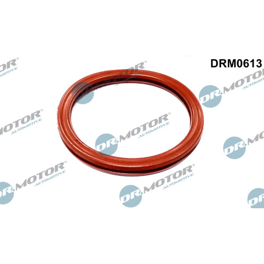 DRM0613 - Seal, throttle body 