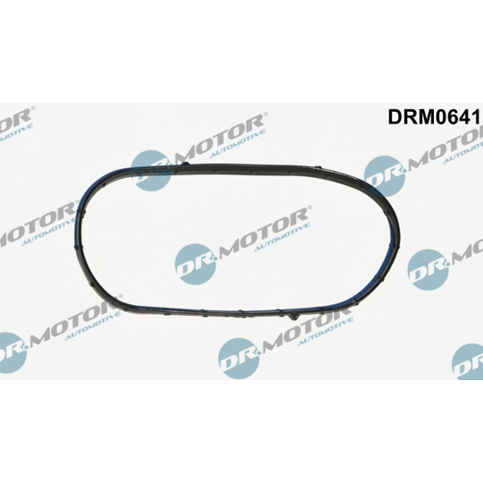 DRM0641 - Gasket, timing case 